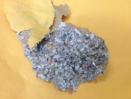 shredded paper-lined padded envelopes