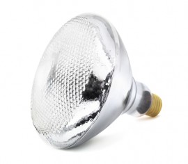halogen light bulbs