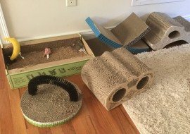 cat scratching posts