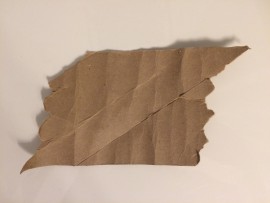 toilet paper rolls